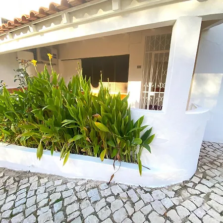 Harmony With Pool By Homing * البوفيرا